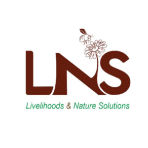 LNS Logo