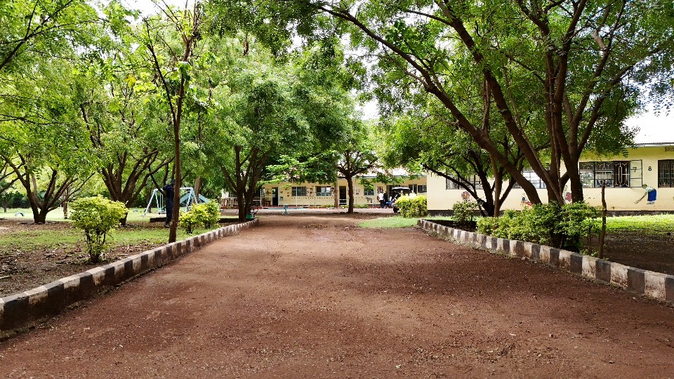 School grounds in Northern Tanzania